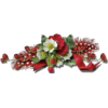 Christmas - Pflanzen - 