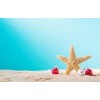 Christmas beach - Items - 