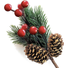 Christmas berries - Objectos - 