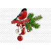 Christmas bird - Animais - 