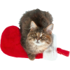 Christmas cat - Items - 