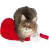 Christmas cat - Objectos - 