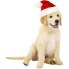 Christmas dog - Artikel - 