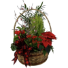 Christmas flower basket - Articoli - 