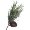 Christmas pine - Pflanzen - 