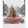 Christmas snow photo - Uncategorized - 