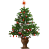 Christmas tree - Rastline - 
