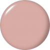 Circle Color - Items - 