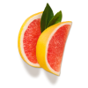 Citrus - 水果 - 