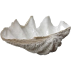 Clam Shell - Items - 