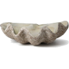 Clam Shell - Items - 