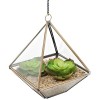 Clear Glass & Brass Tone Metal Faceted Hanging Air Plant Terrarium / Tea Light Candle Holder - MyGift - Plants - $17.99 