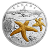 Cnd starfish coin - Artikel - 