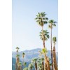 Coachella - Мои фотографии - 