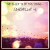 Coachella - 相册 - 