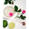 Cocktail - Pflanzen - 