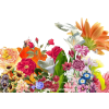 Flowers - 插图 - 