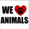 Animals - Texte - 