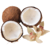 Coconut - Fruit - 