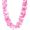 Collar Hawái rosa - Pflanzen - 