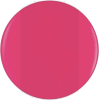 Color Circle - Items - 