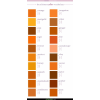 Color Vocabulary  - Ilustrationen - 