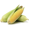 Corn - Comida - 