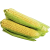 Corn - cibo - 