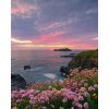 Cornwall UK - Natureza - 