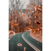 Country Road in Fall - Fondo - 