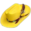 Cowgirl Hat - Uncategorized - 