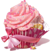 Cupcake - 其他 - 