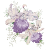 Flowers Purple Plants - Plants - 