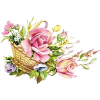 Flowers Pink Plants - Rastline - 