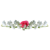 Flower White Plants - Piante - 