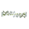 Flowers White Plants - Piante - 