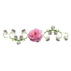 Flowers Pink Plants - Piante - 