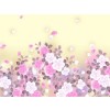 Pink Casual Background - Fundos - 