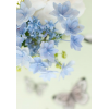 Cvijece - Background - 