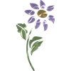 Flowers Purple Plants - 植物 - 