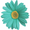 DAISY Gerbera Flower - Przedmioty - 