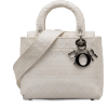 DIOR - Bolsas de tiro - 