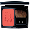 DIOR powder blusher - 化妆品 - 