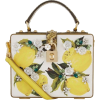 DOLCE & GABBANA lemon print bag - Bolsas pequenas - 