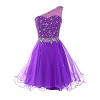 DRESSTELLS Short One Shoulder Prom Dresses Tulle Homecoming Dress with Beads - Dresses - $64.99 
