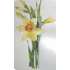 Daffodils - Illustrations - 