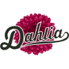 Dahlia - 植物 - 