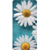 Daisy - Predmeti - 