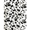 Dalmatian - Background - 