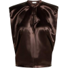 Dark Brown Fitted Top - 半袖衫/女式衬衫 - 